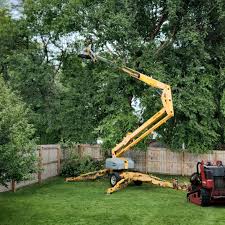 Best Firewood Processing and Delivery  in Fontana, CA