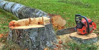 Best Lot and Land Clearing  in Fontana, CA
