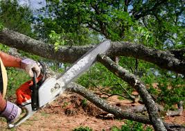 Best Pest Control for Lawns  in Fontana, CA