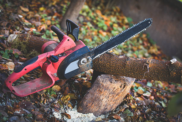 Best Weed Control  in Fontana, CA